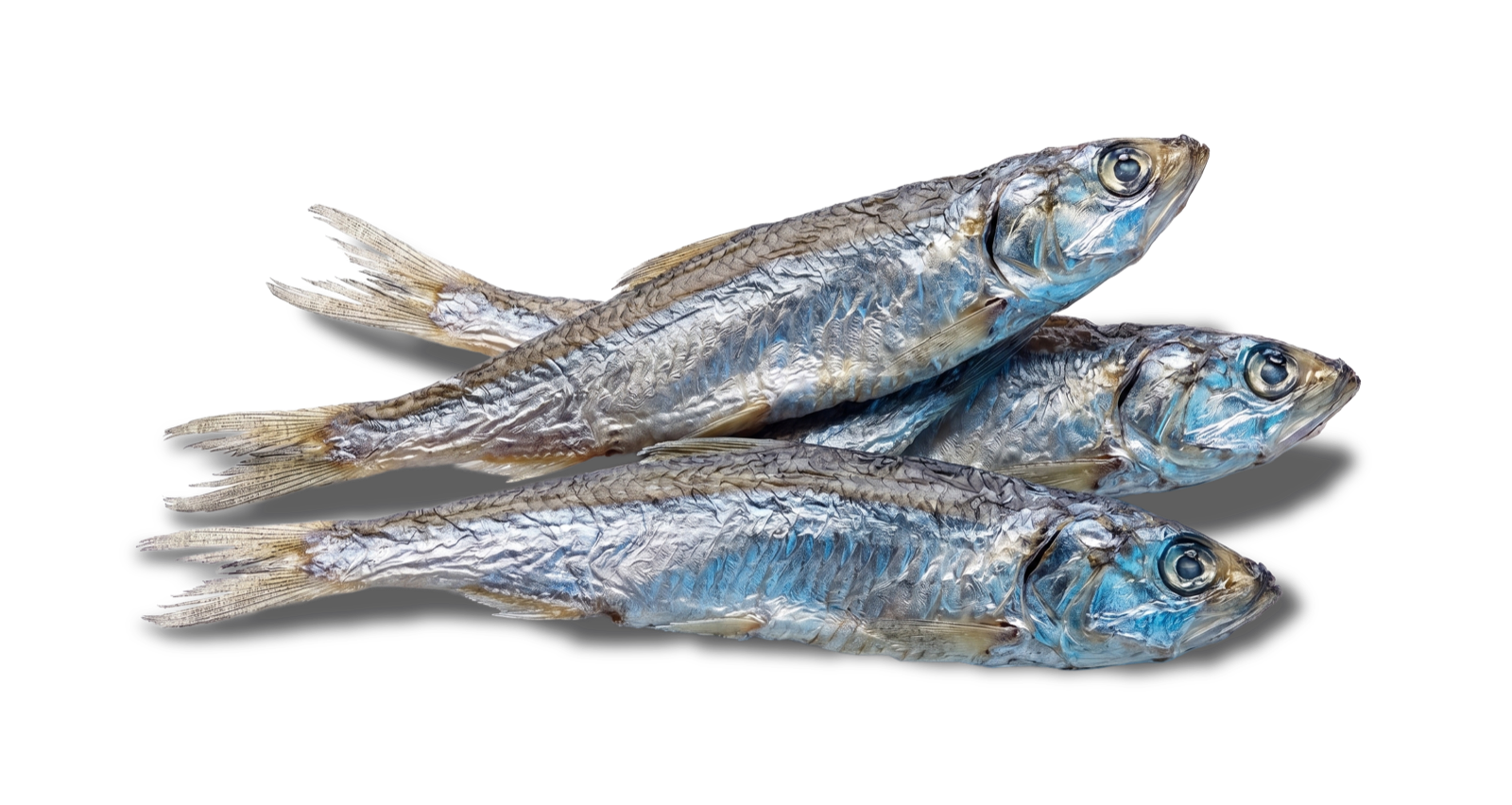 Dried anchovy product from Phuong Hong Phat